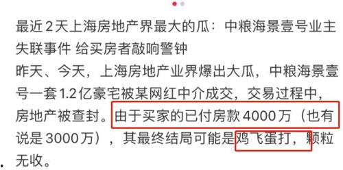 网红大瓜小说免费阅读